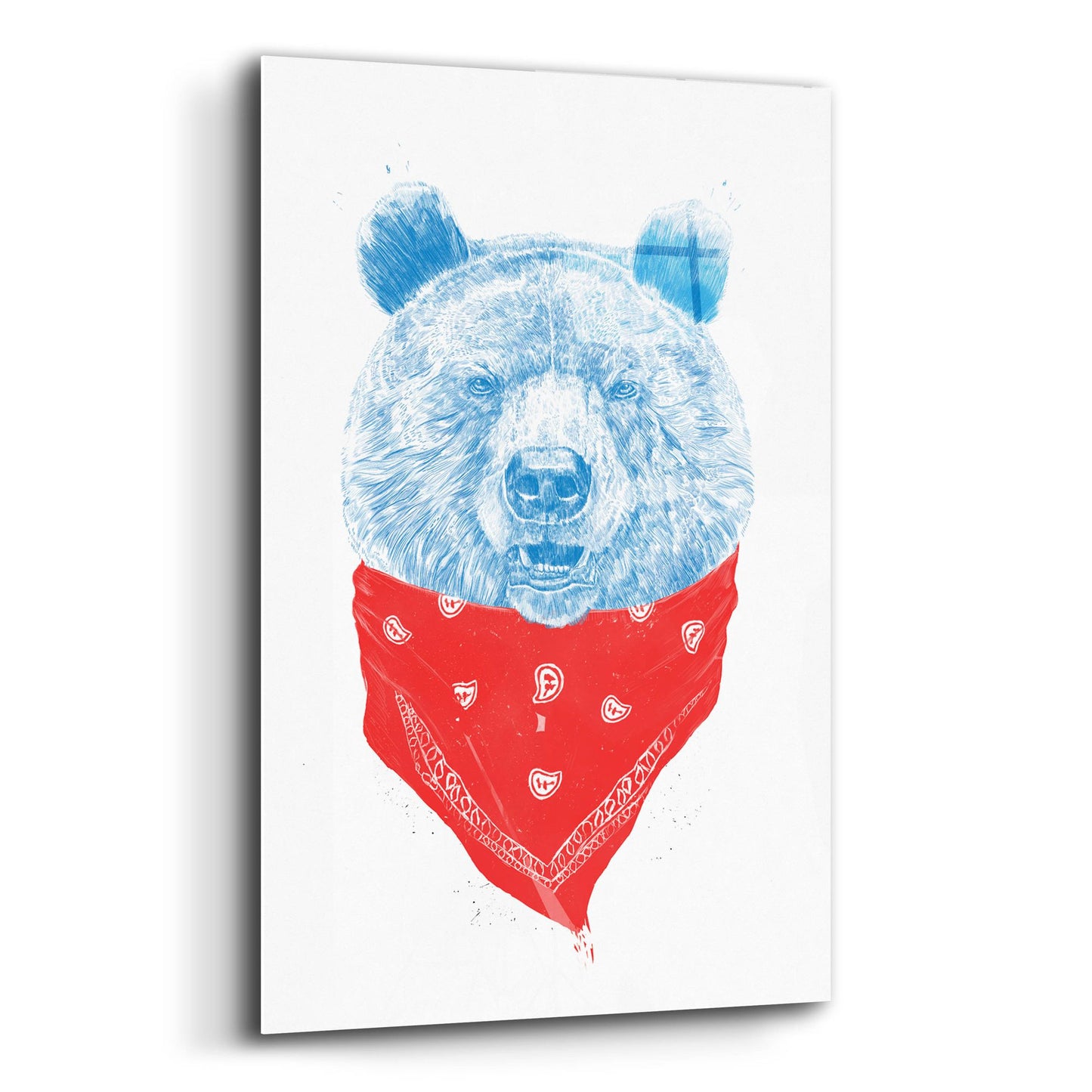 Epic Art ' Wild Bear' by Balazs Solti, Acrylic Glass Wall Art,12x16