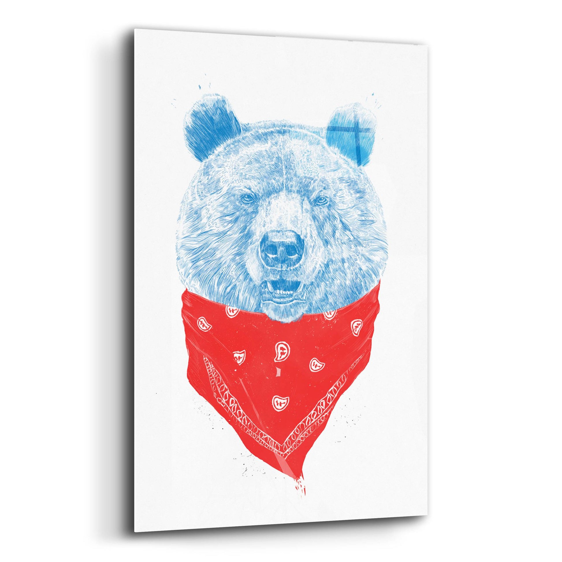 Epic Art ' Wild Bear' by Balazs Solti, Acrylic Glass Wall Art,12x16