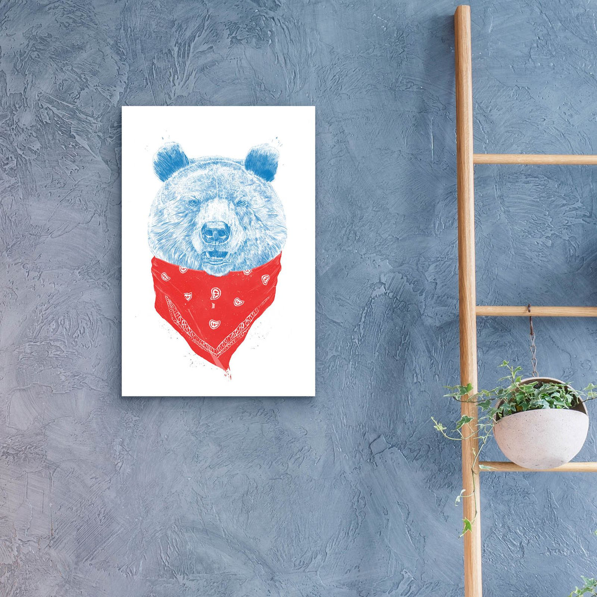 Wild Bear by Balazs Solti - 16x24 acrylic wall art in a room
