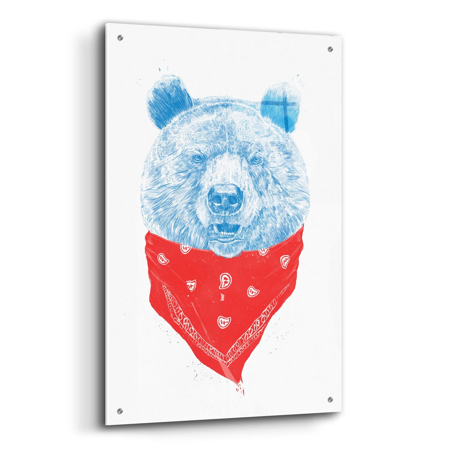 Epic Art ' Wild Bear' by Balazs Solti, Acrylic Glass Wall Art,24x36