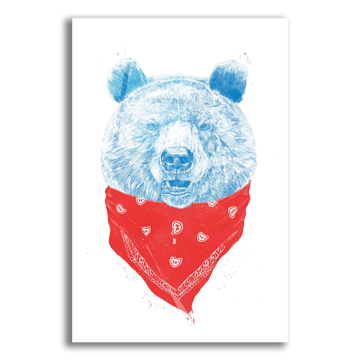 Wild Bear by Balazs Solti acrylic glass wall art