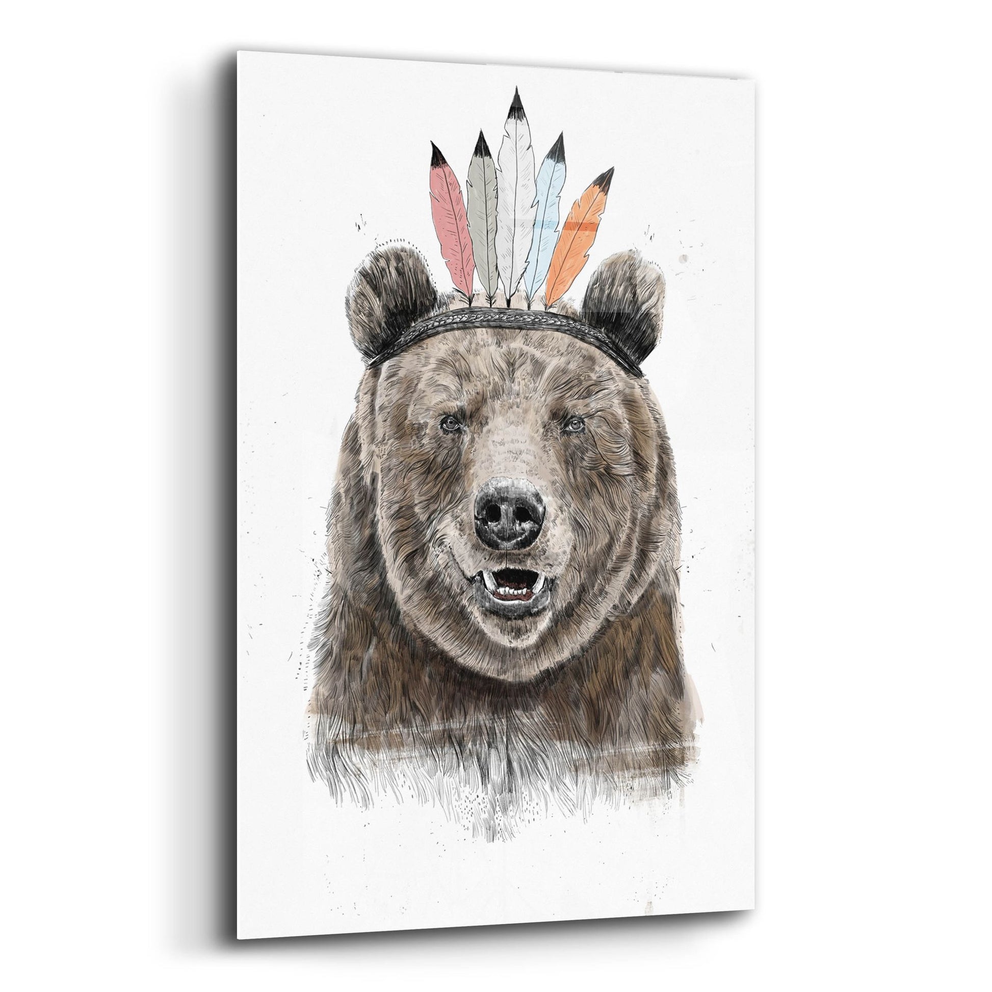 Epic Art ' Festival Bear' by Balazs Solti, Acrylic Glass Wall Art,12x16