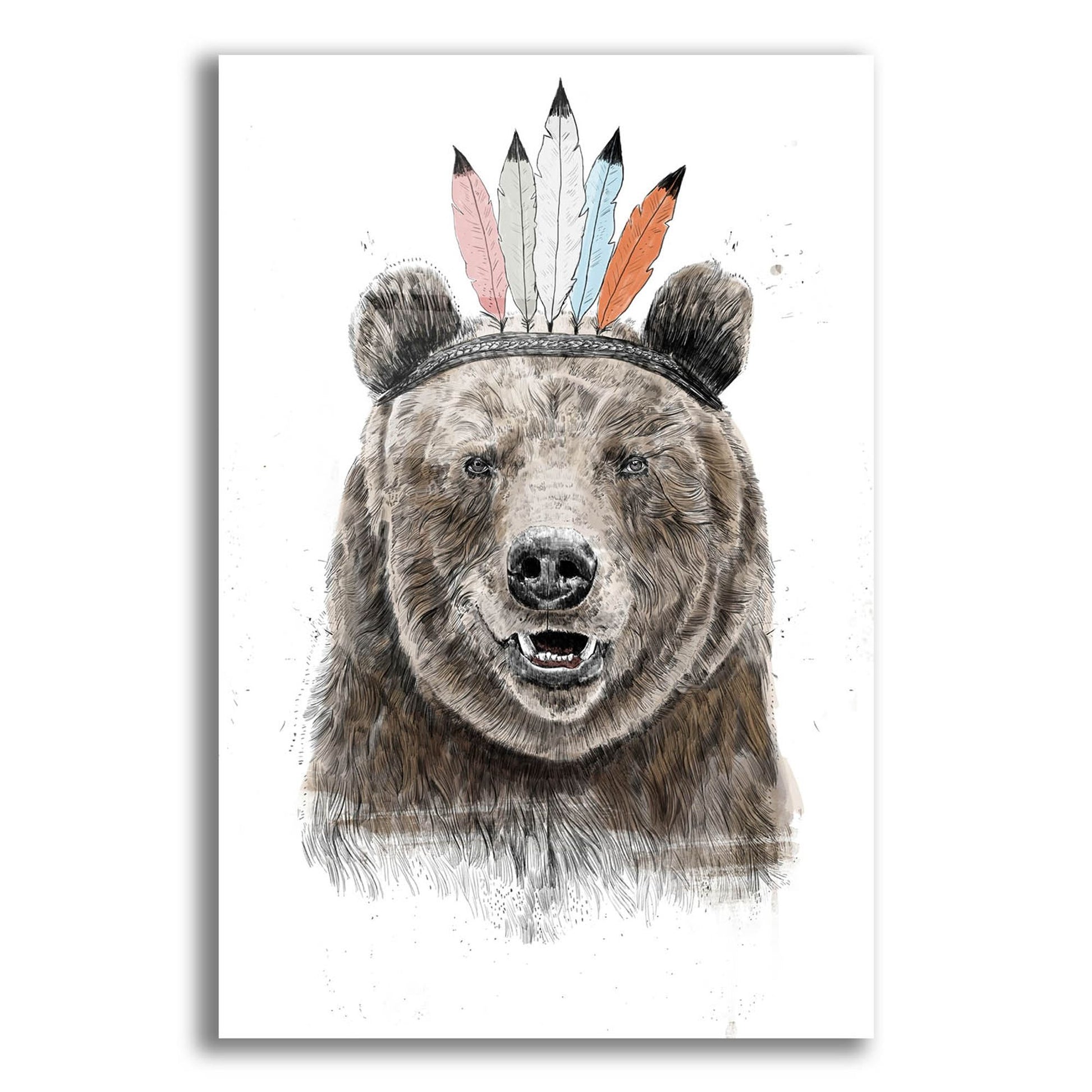 Epic Art ' Festival Bear' by Balazs Solti, Acrylic Glass Wall Art