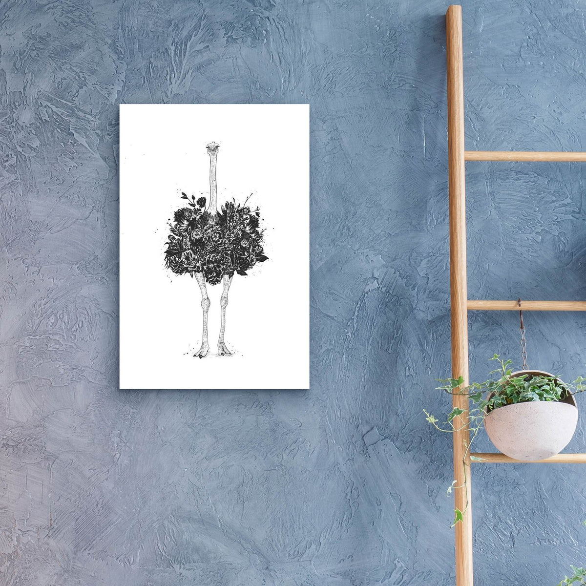 Floral Ostrich by Balazs Solti - 16x24 acrylic wall art in a room