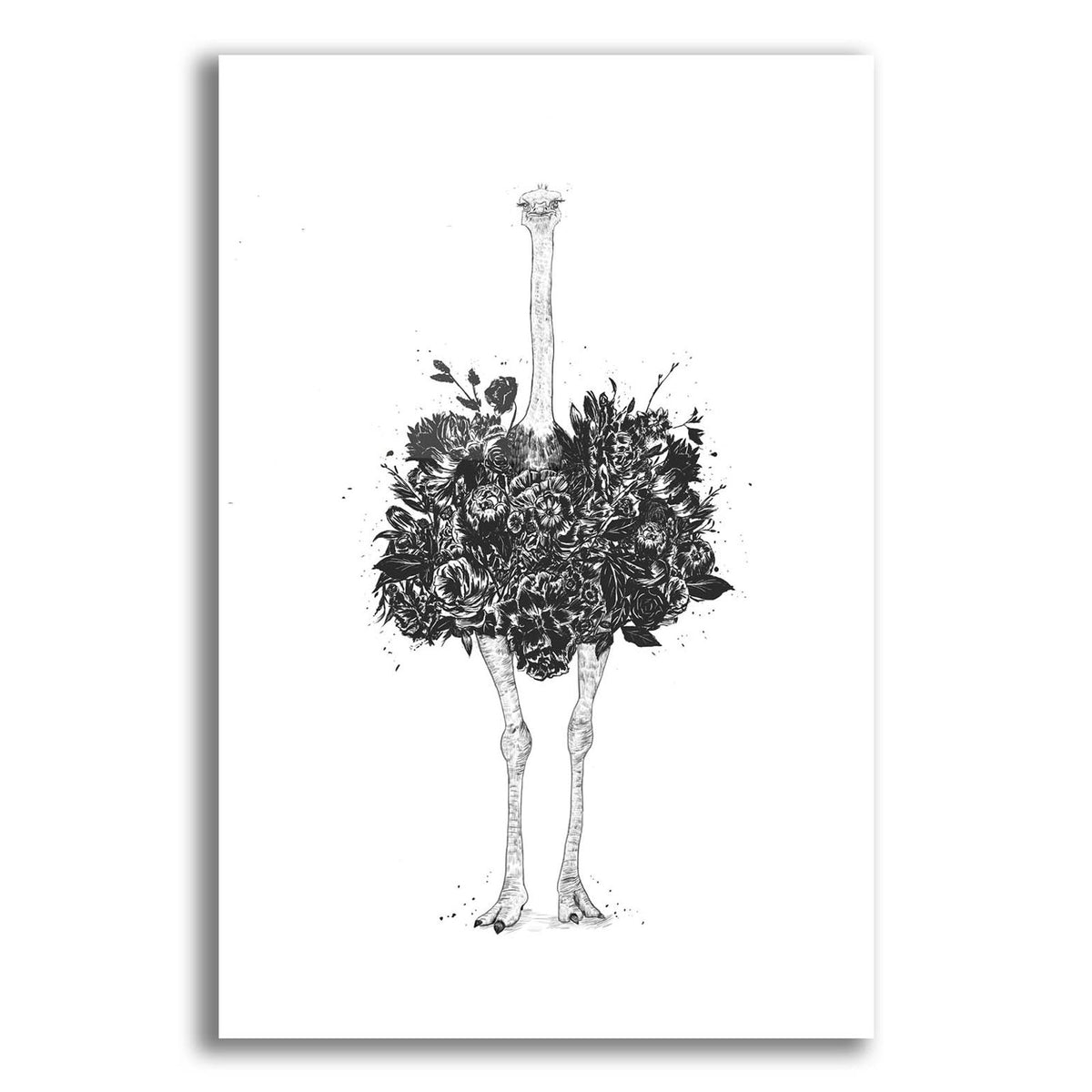 Floral Ostrich by Balazs Solti acrylic glass wall art