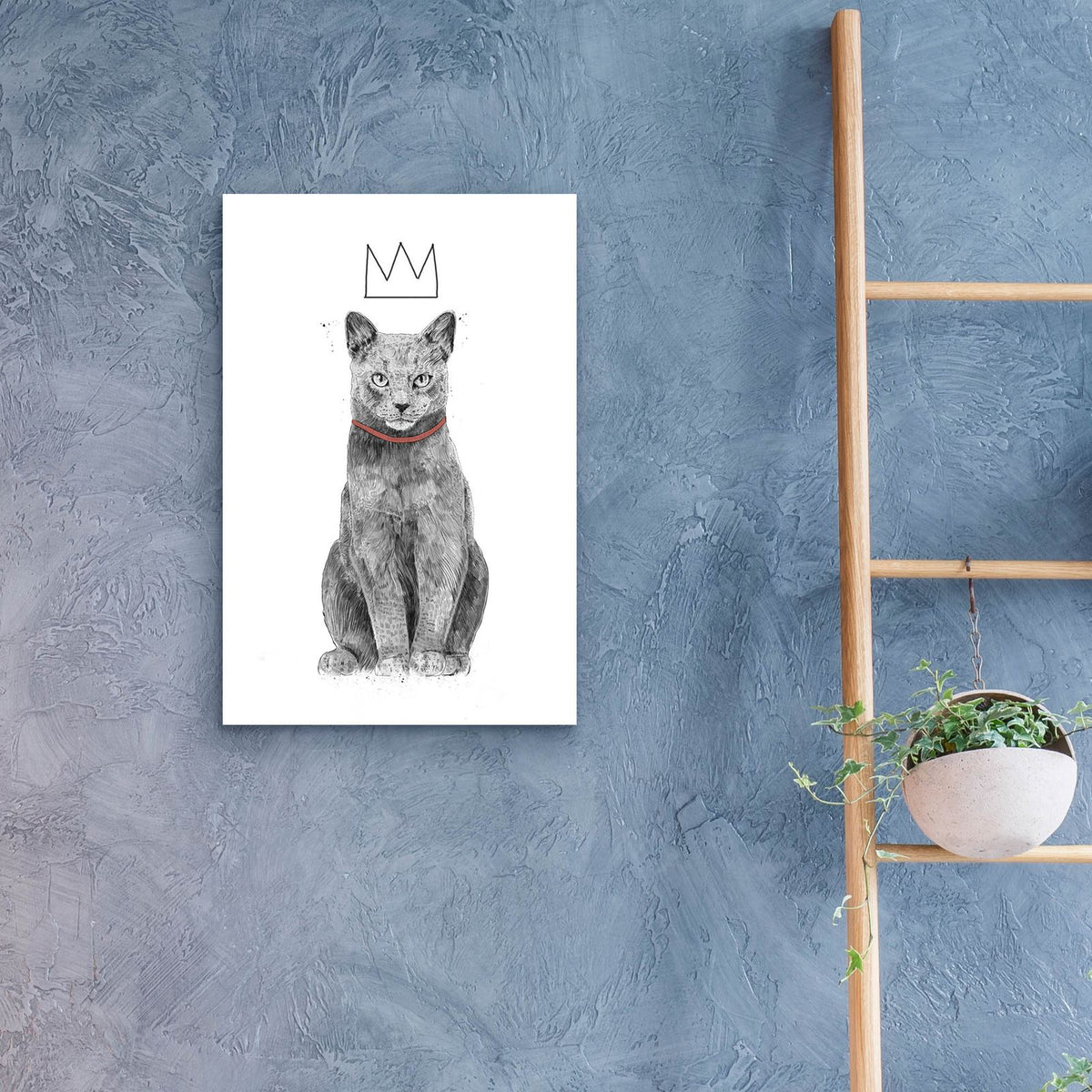 King of Everything by Balazs Solti - 16x24 acrylic wall art in a room