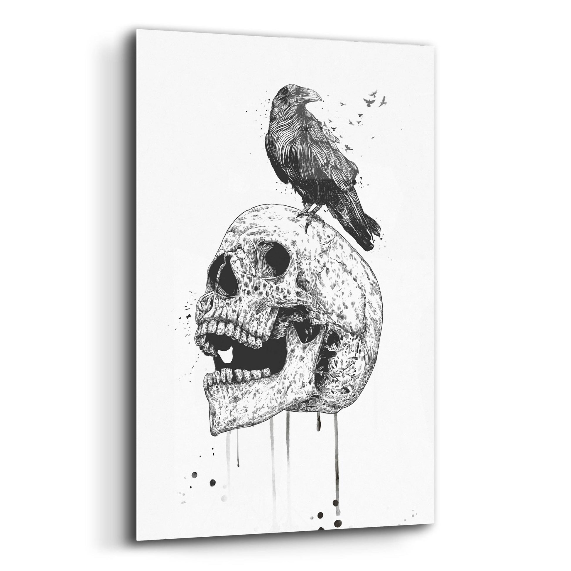 Epic Art ' New Skull' by Balazs Solti, Acrylic Glass Wall Art,12x16