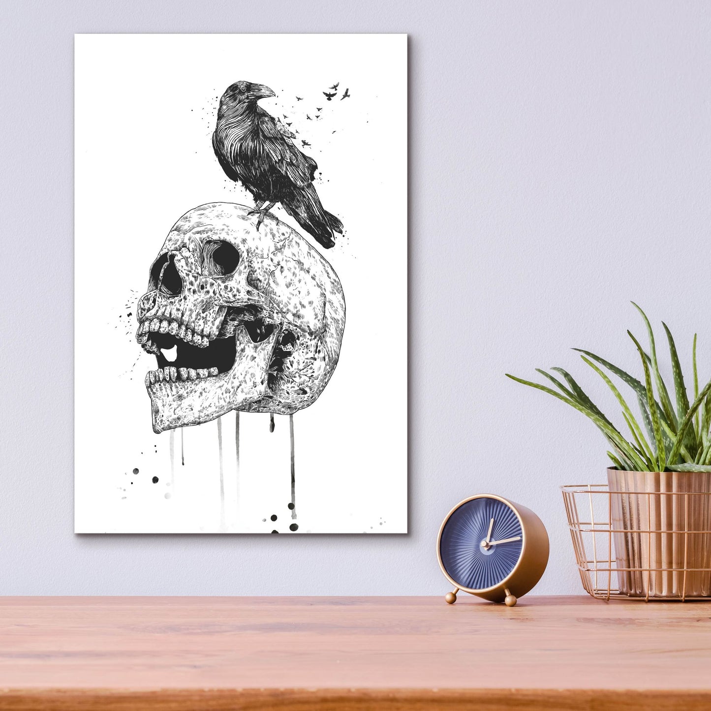 Epic Art ' New Skull' by Balazs Solti, Acrylic Glass Wall Art,12x16