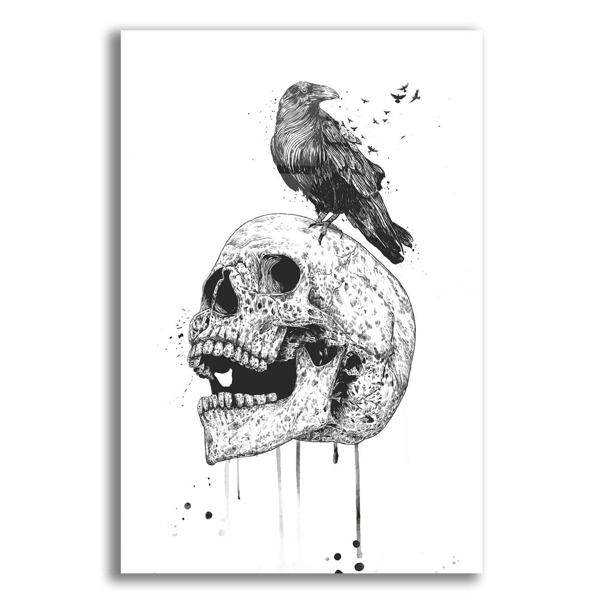 New Skull by Balazs Solti acrylic glass wall art
