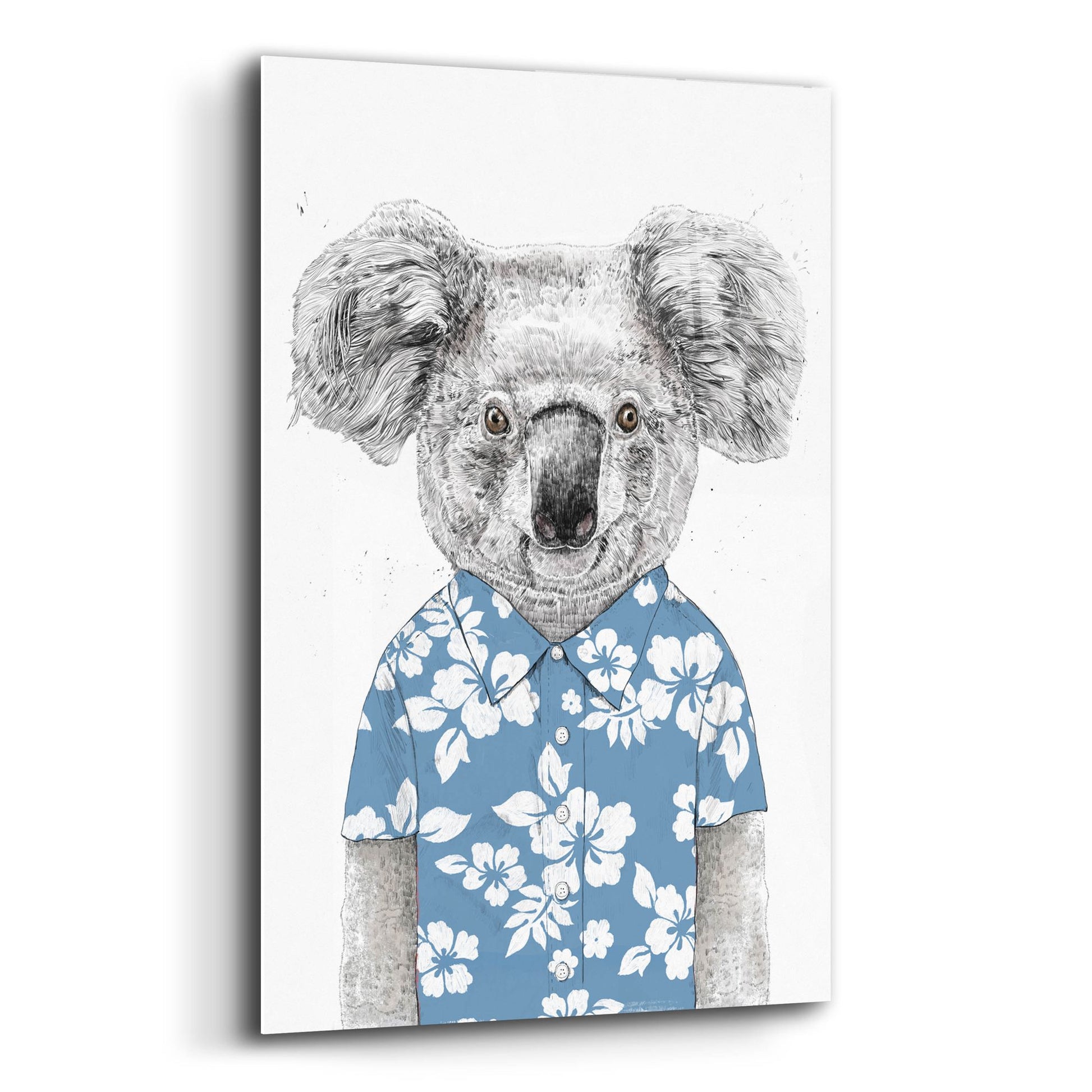 Epic Art ' Summer Koala, Blue' by Balazs Solti, Acrylic Glass Wall Art,12x16