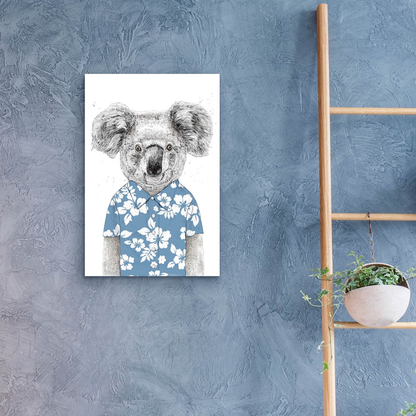 Epic Art ' Summer Koala, Blue' by Balazs Solti, Acrylic Glass Wall Art,16x24