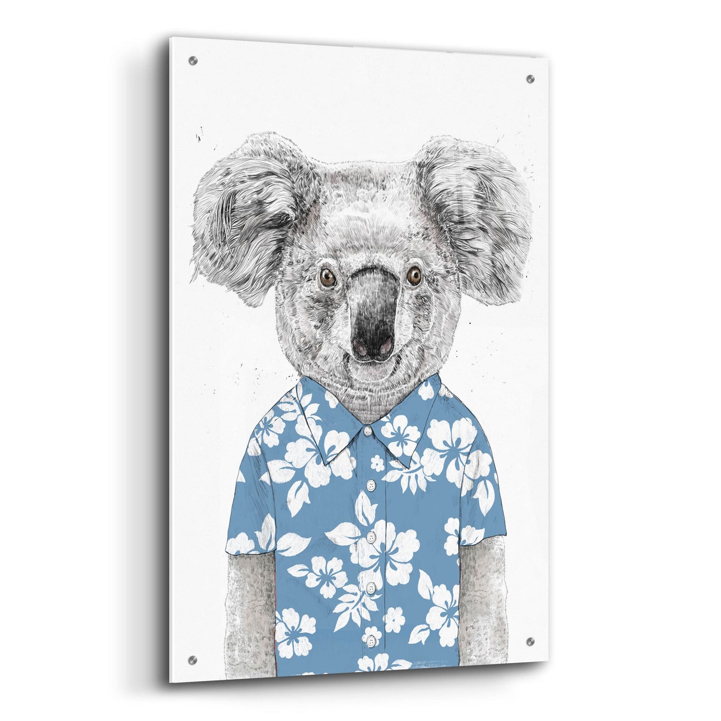 Epic Art ' Summer Koala, Blue' by Balazs Solti, Acrylic Glass Wall Art,24x36