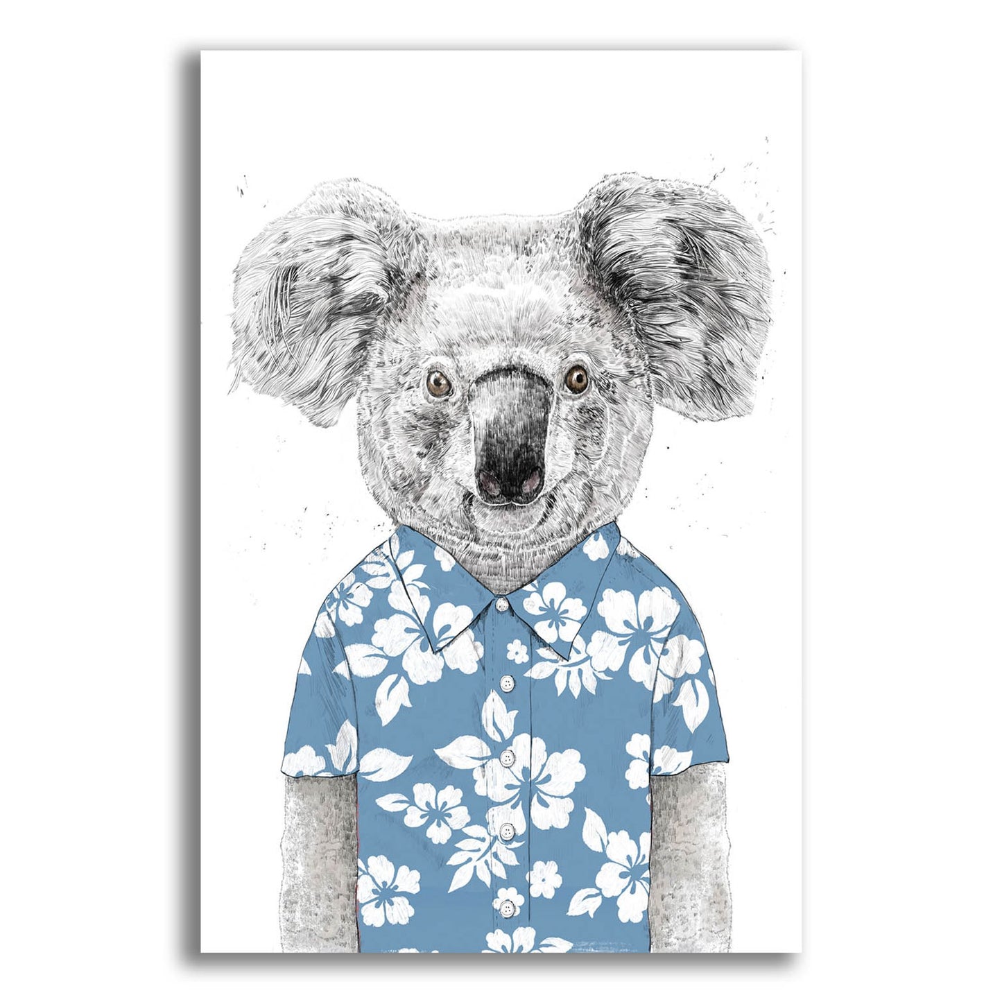 Epic Art ' Summer Koala, Blue' by Balazs Solti, Acrylic Glass Wall Art