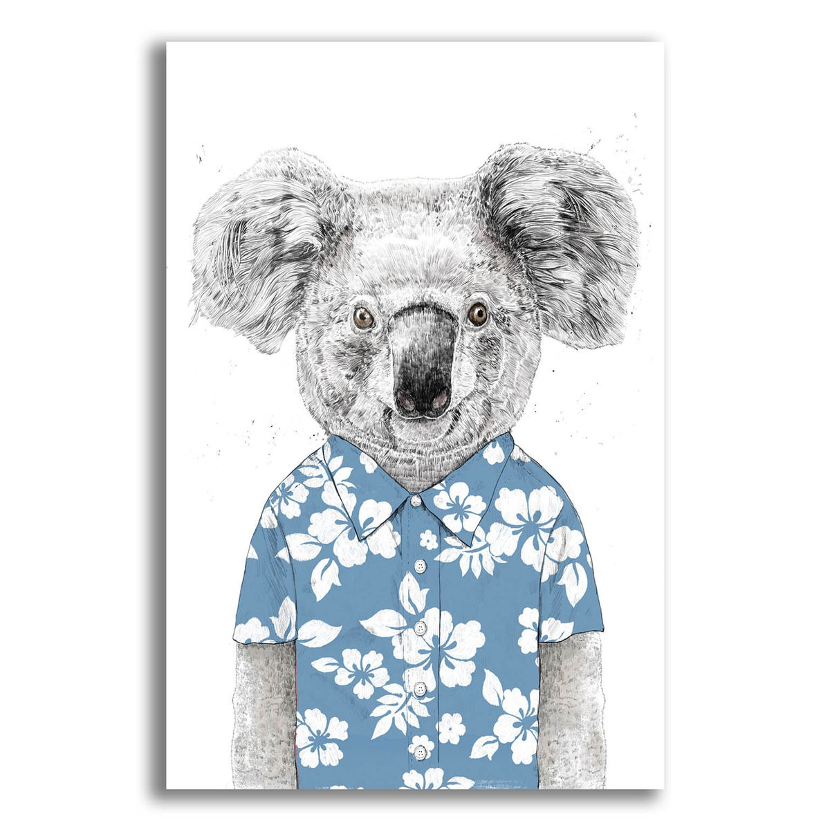 Summer Koala, Blue by Balazs Solti acrylic glass wall art