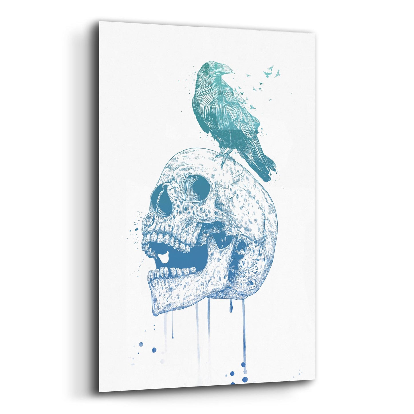 Epic Art ' New Skull, Blue' by Balazs Solti, Acrylic Glass Wall Art,12x16