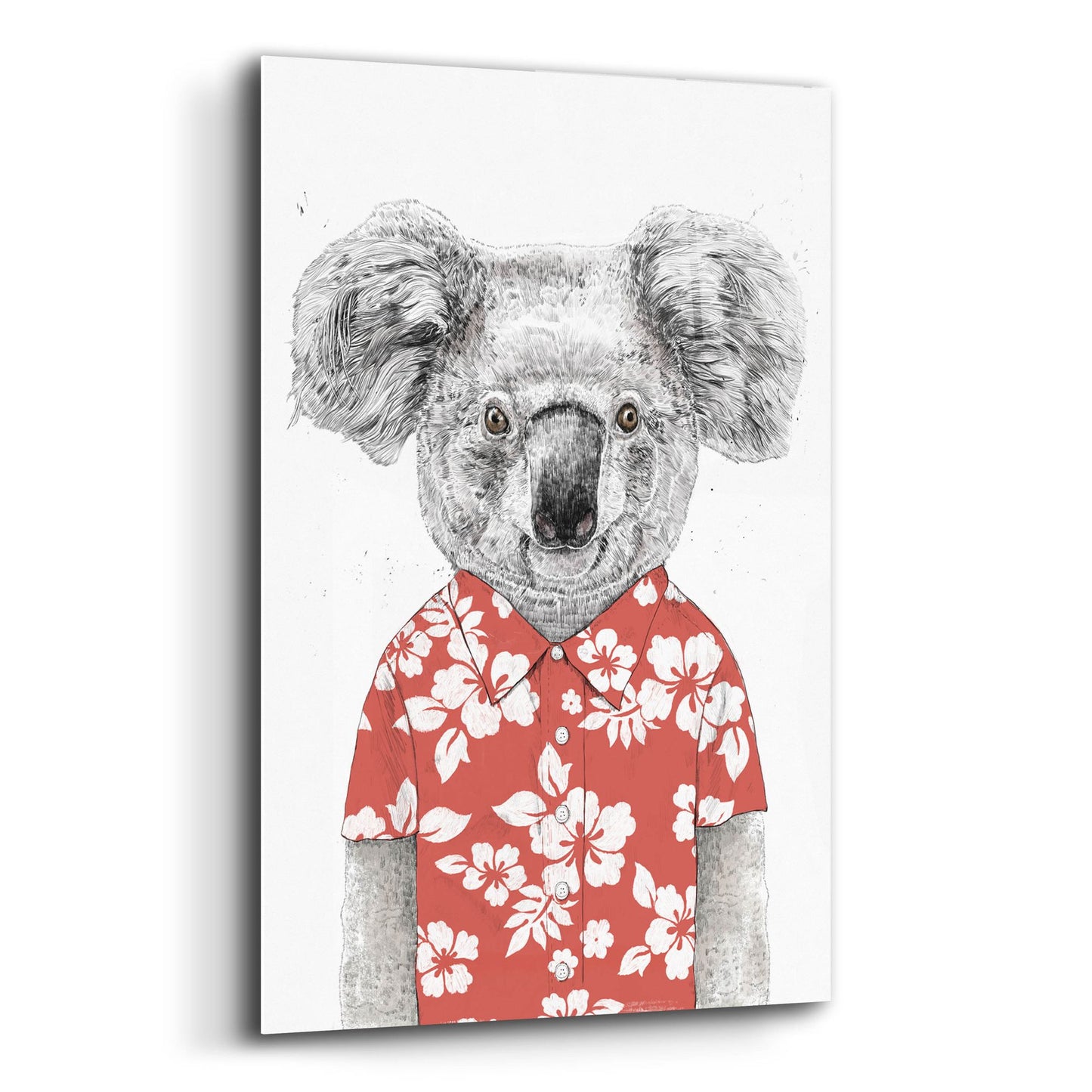 Epic Art ' Summer Koala, Red' by Balazs Solti, Acrylic Glass Wall Art,12x16