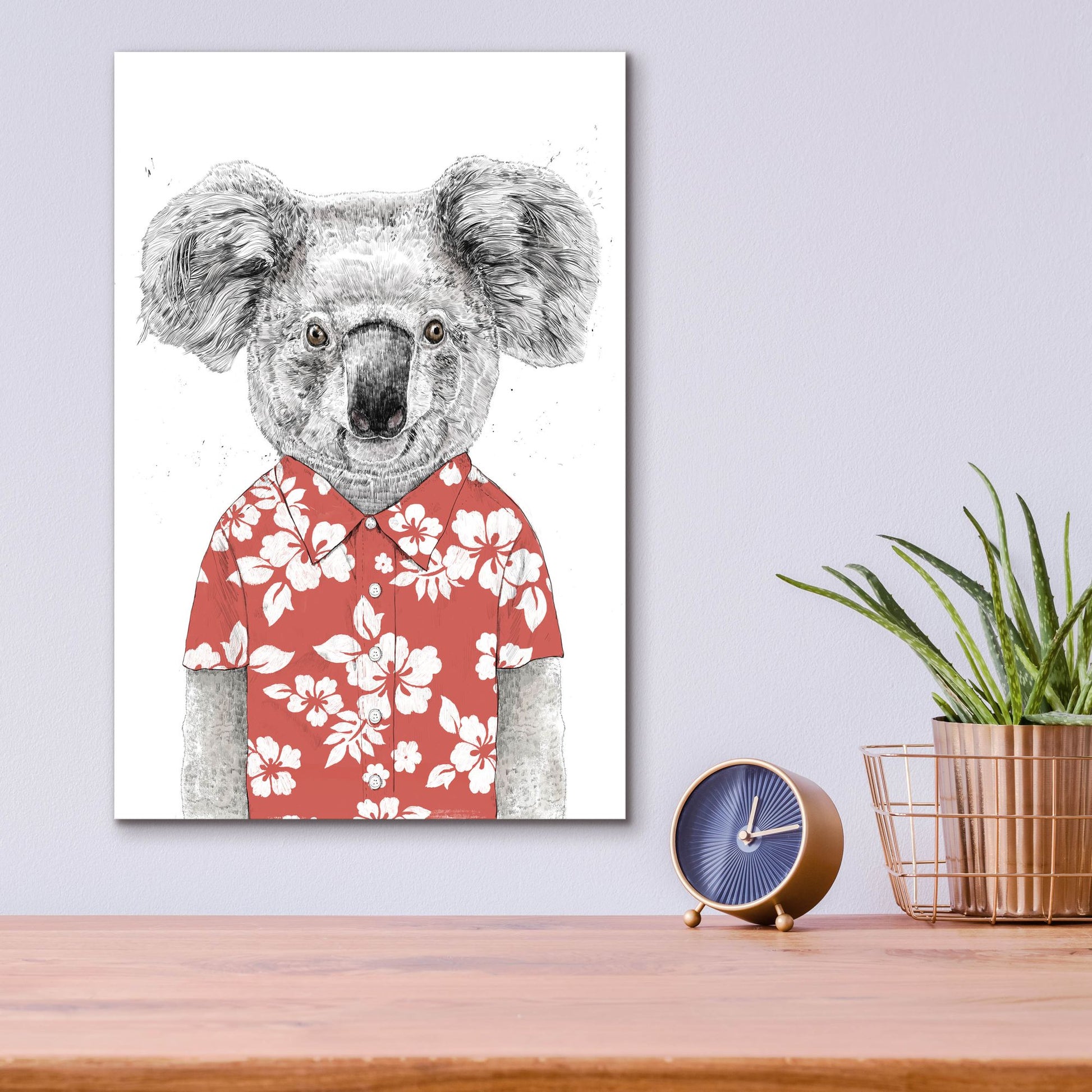 Epic Art ' Summer Koala, Red' by Balazs Solti, Acrylic Glass Wall Art,12x16