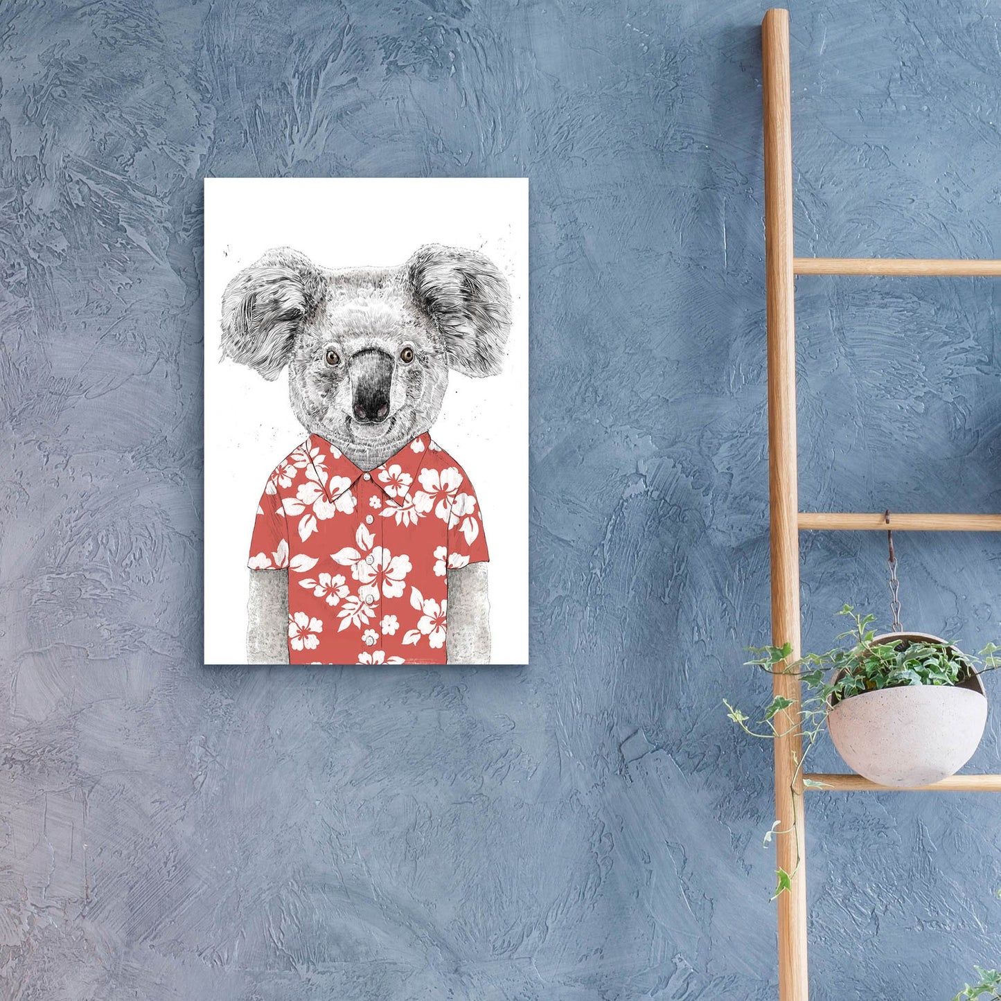 Epic Art ' Summer Koala, Red' by Balazs Solti, Acrylic Glass Wall Art,16x24