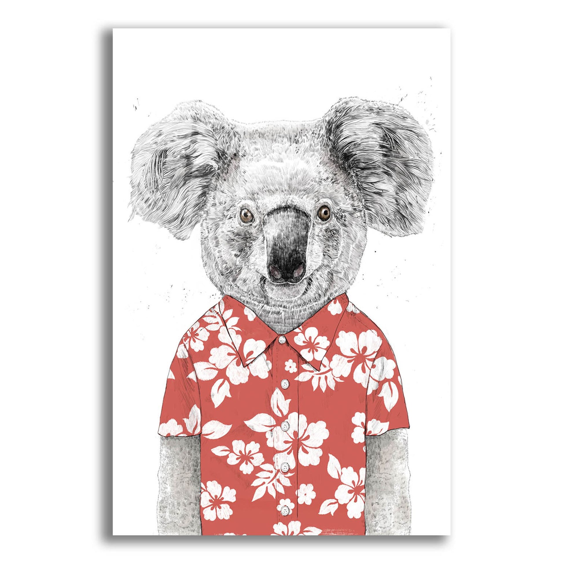 Epic Art ' Summer Koala, Red' by Balazs Solti, Acrylic Glass Wall Art