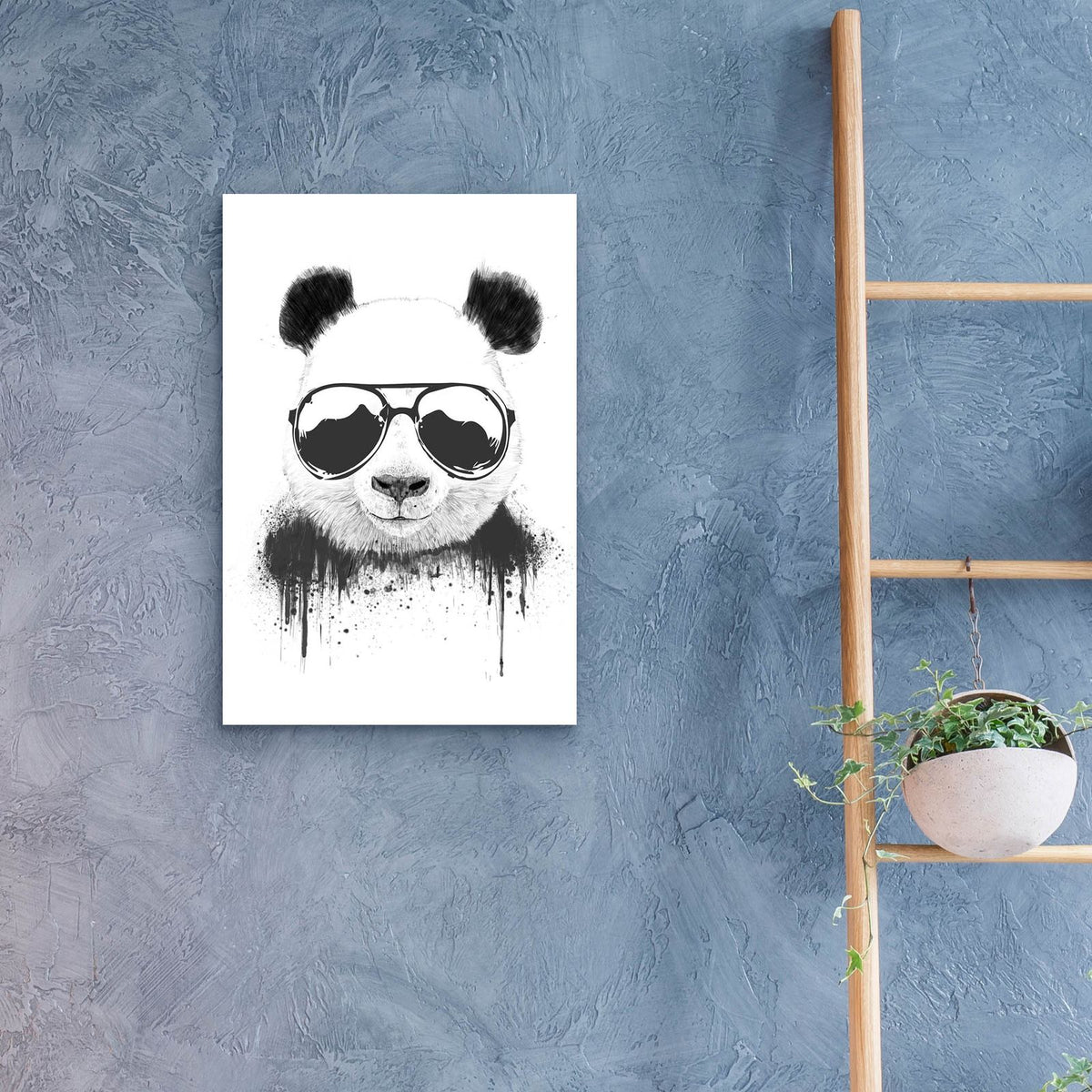 Stay Cool by Balazs Solti - 16x24 acrylic wall art in a room