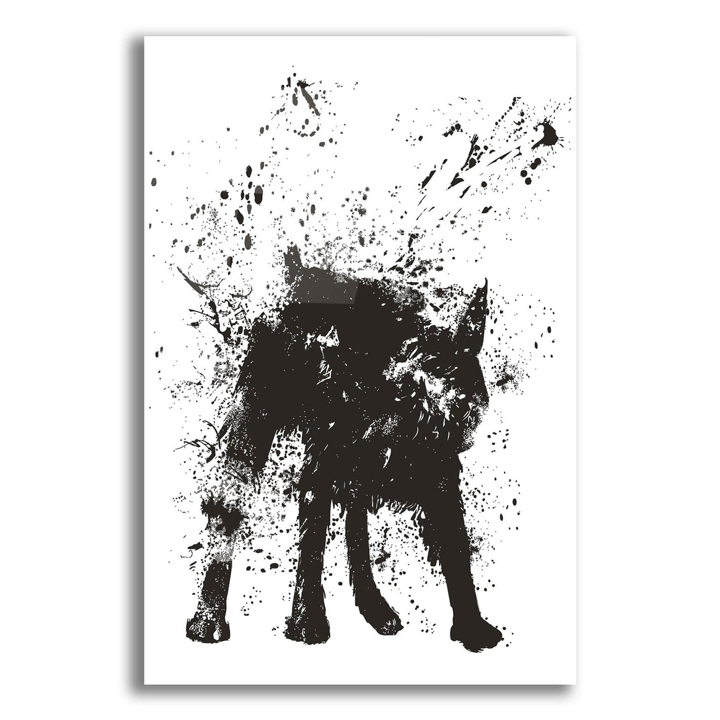 Epic Art ' Wet Dog' by Balazs Solti, Acrylic Glass Wall Art