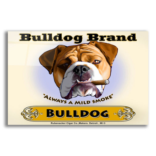 Epic Art ' Bulldog Cigar' by Brian Rubenacker, Acrylic Glass Wall Art