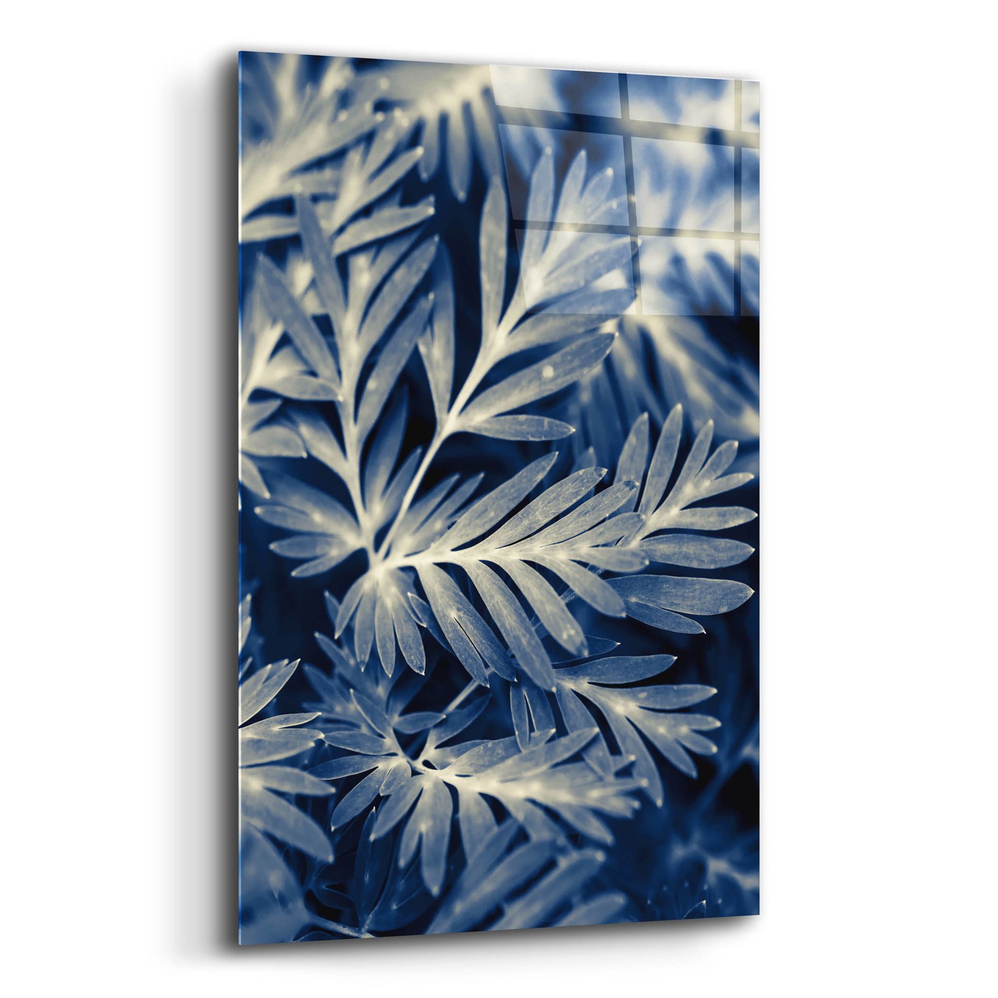 Epic Art ' Navy Blue Leaves' by Brooke T. Ryan, Acrylic Glass Wall Art,12x16