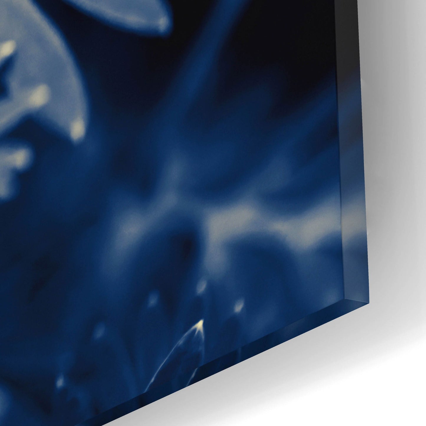 Epic Art ' Navy Blue Leaves' by Brooke T. Ryan, Acrylic Glass Wall Art,12x16