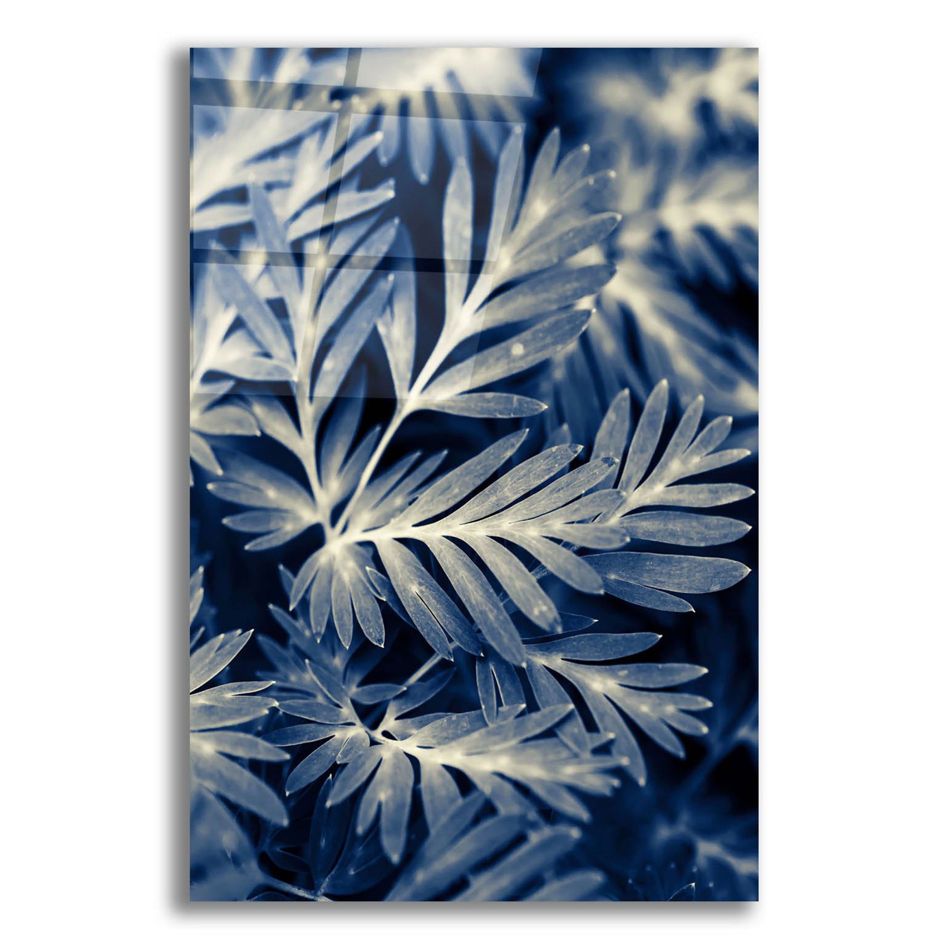 Epic Art ' Navy Blue Leaves' by Brooke T. Ryan, Acrylic Glass Wall Art,12x16