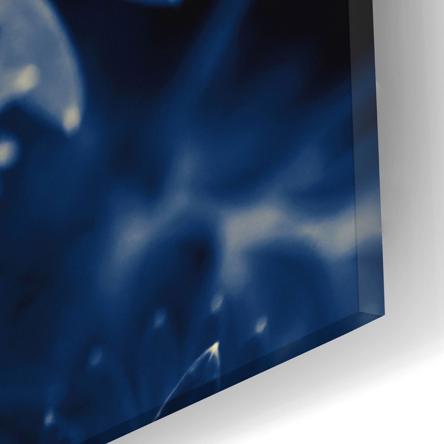 Epic Art ' Navy Blue Leaves' by Brooke T. Ryan, Acrylic Glass Wall Art,16x24