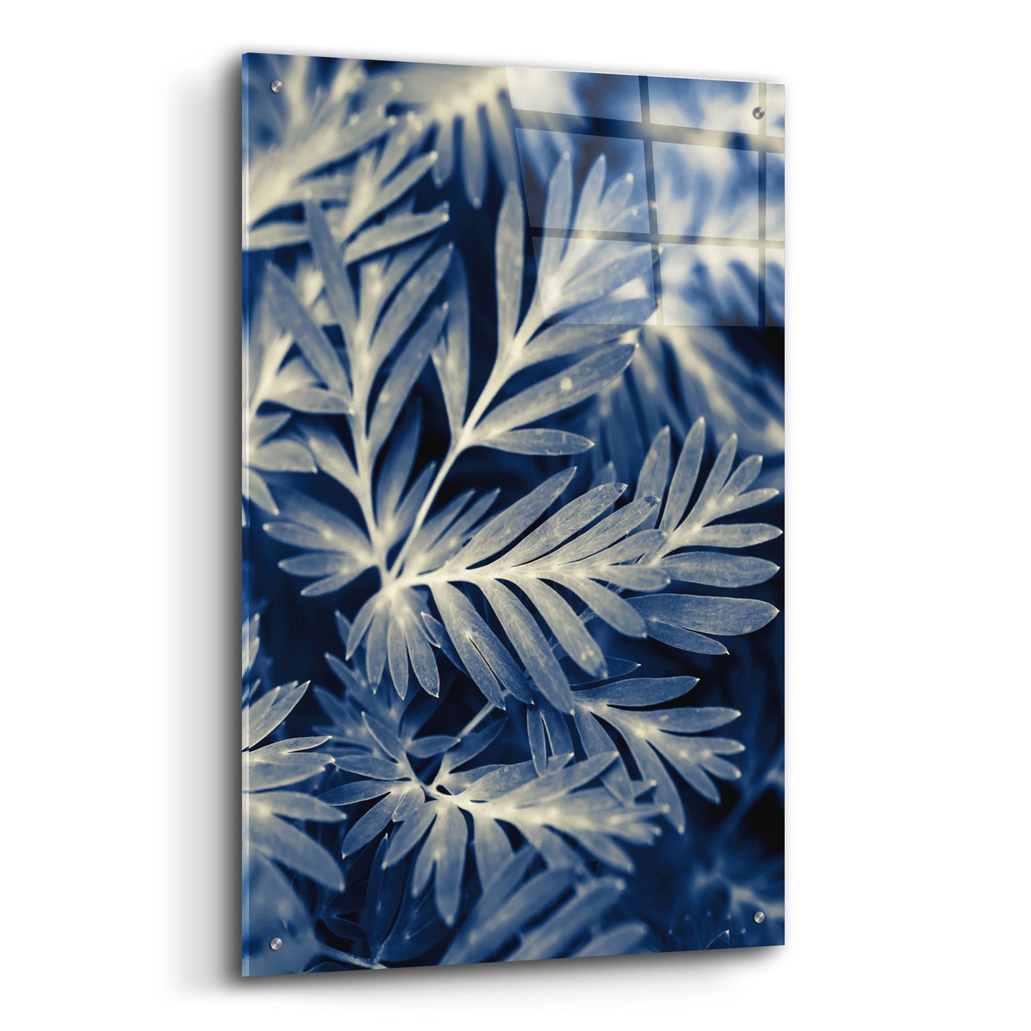 Epic Art ' Navy Blue Leaves' by Brooke T. Ryan, Acrylic Glass Wall Art,24x36