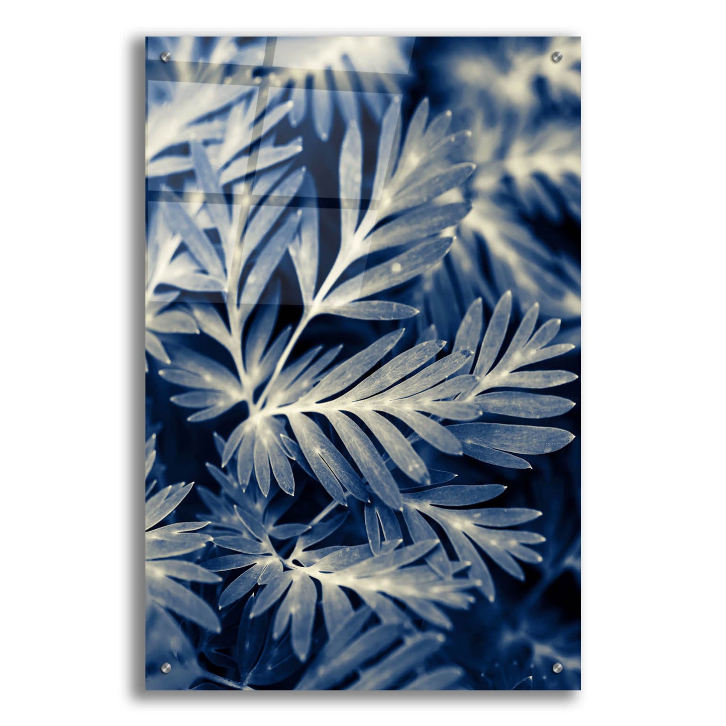 Epic Art ' Navy Blue Leaves' by Brooke T. Ryan, Acrylic Glass Wall Art,24x36