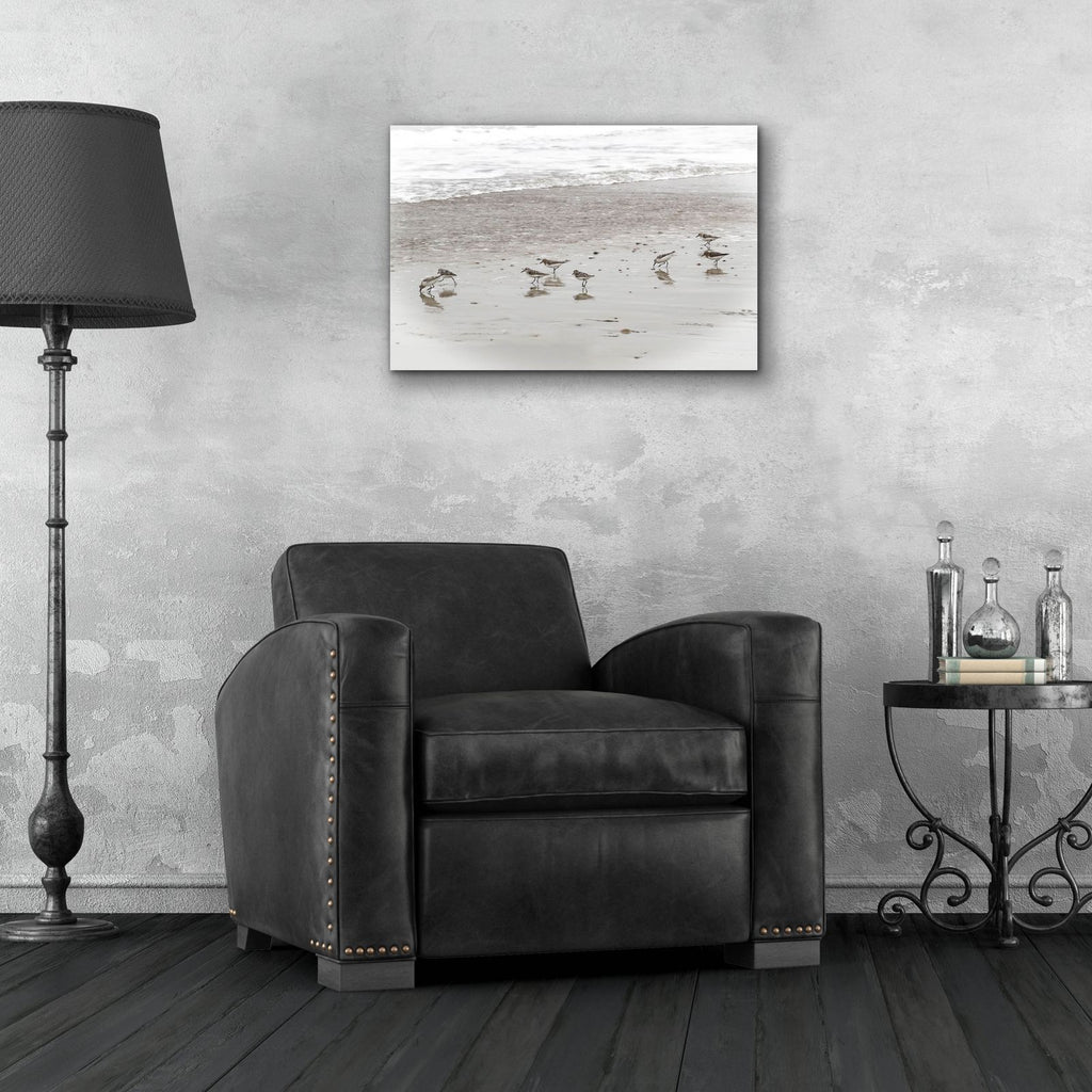 Sandpipers by Brooke T. Ryan - 24x16 acrylic wall art in a room