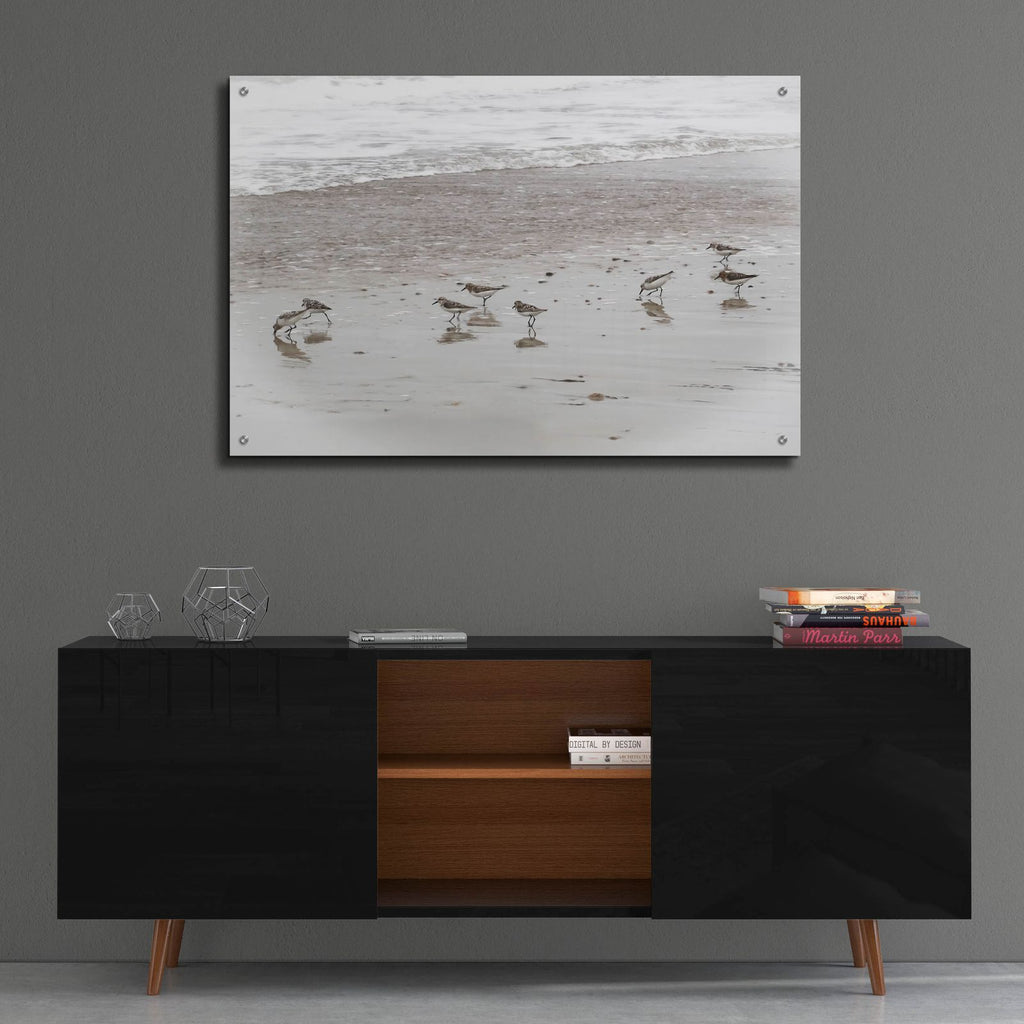 Sandpipers by Brooke T. Ryan - 36x24 acrylic wall art in a room
