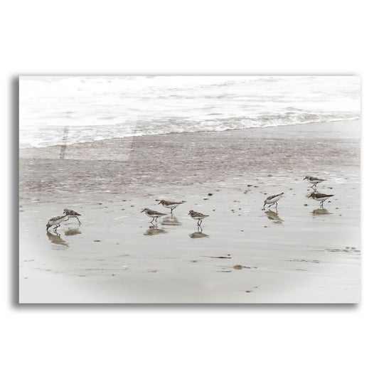 Epic Art ' Sandpipers' by Brooke T. Ryan, Acrylic Glass Wall Art