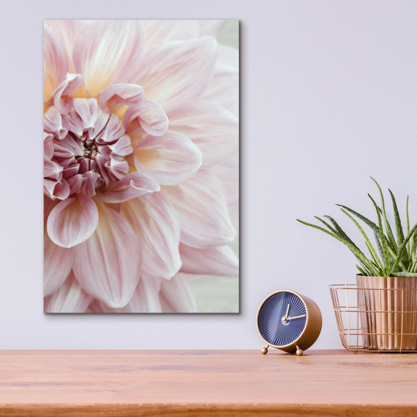 Epic Art ' Blush Pink Dahlia' by Brooke T. Ryan, Acrylic Glass Wall Art,12x16