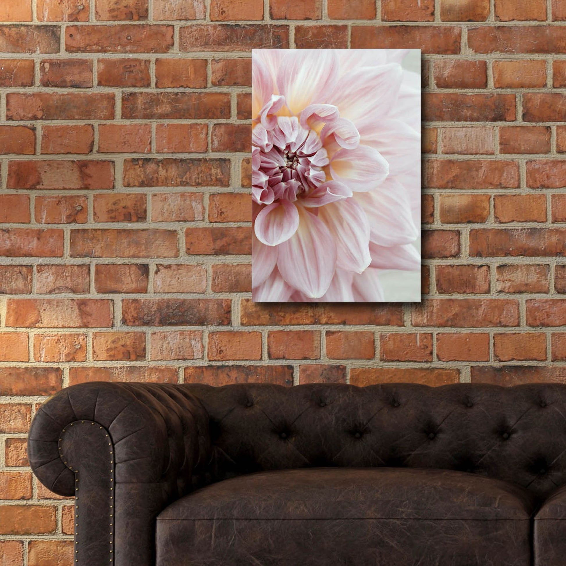 Epic Art ' Blush Pink Dahlia' by Brooke T. Ryan, Acrylic Glass Wall Art,16x24