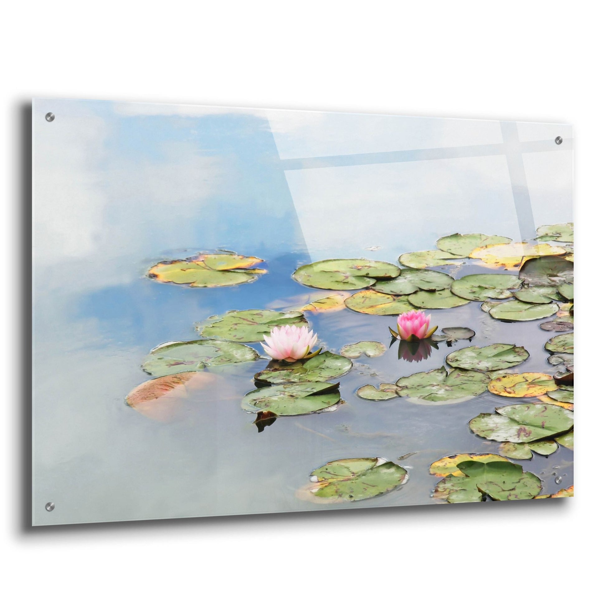 Epic Art ' Monet's Garden' by Brooke T. Ryan, Acrylic Glass Wall Art,36x24
