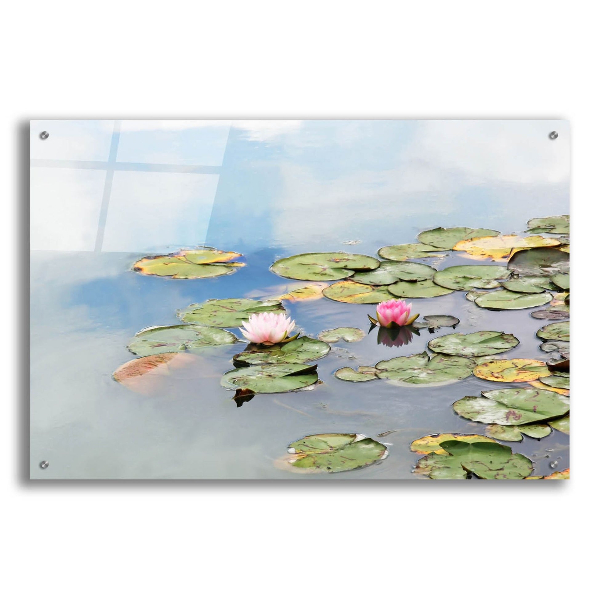 Epic Art ' Monet's Garden' by Brooke T. Ryan, Acrylic Glass Wall Art,36x24