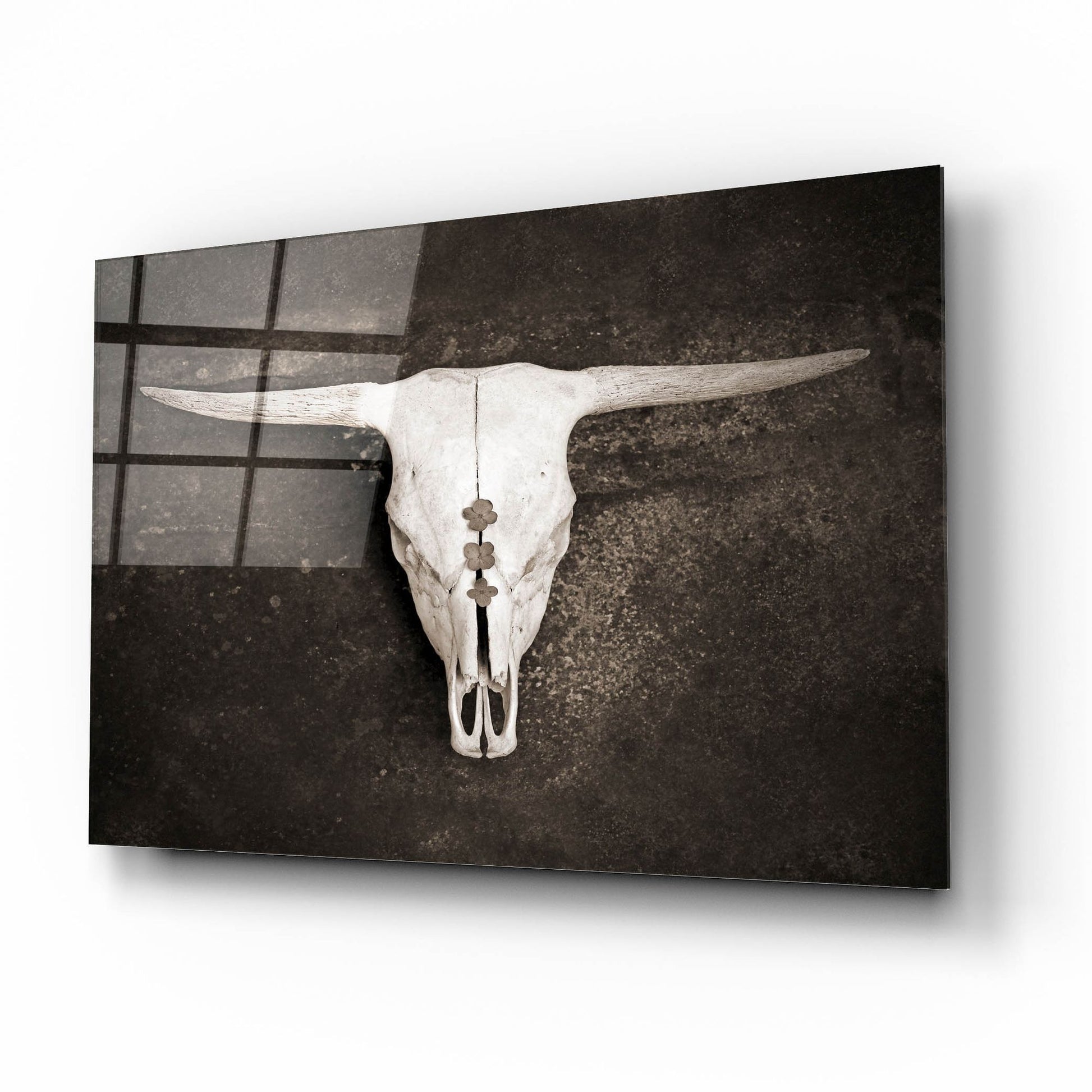 Epic Art ' Sepia Cattle Skull' by Brooke T. Ryan, Acrylic Glass Wall Art,16x12