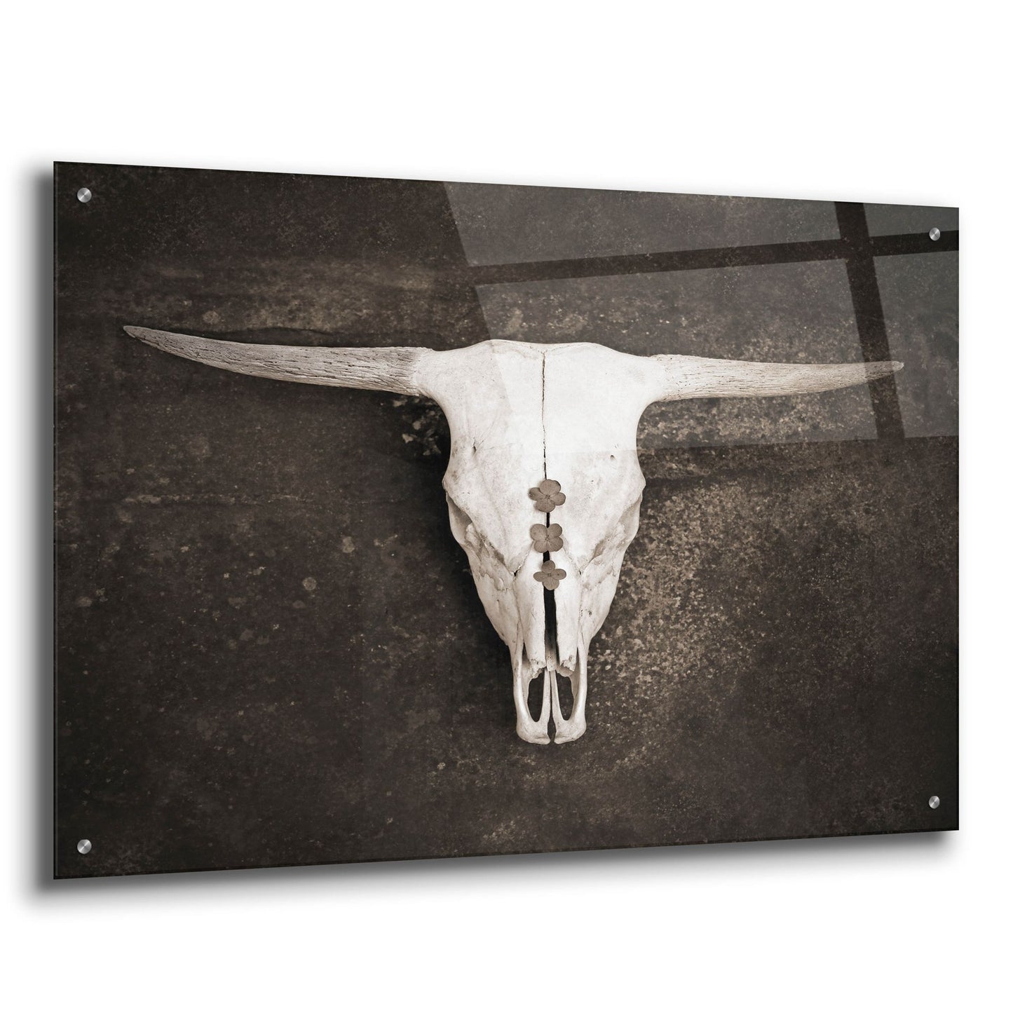 Epic Art ' Sepia Cattle Skull' by Brooke T. Ryan, Acrylic Glass Wall Art,36x24