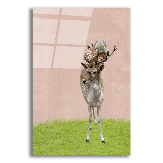 Epic Art ' Buck on Pink' by Brooke T. Ryan, Acrylic Glass Wall Art