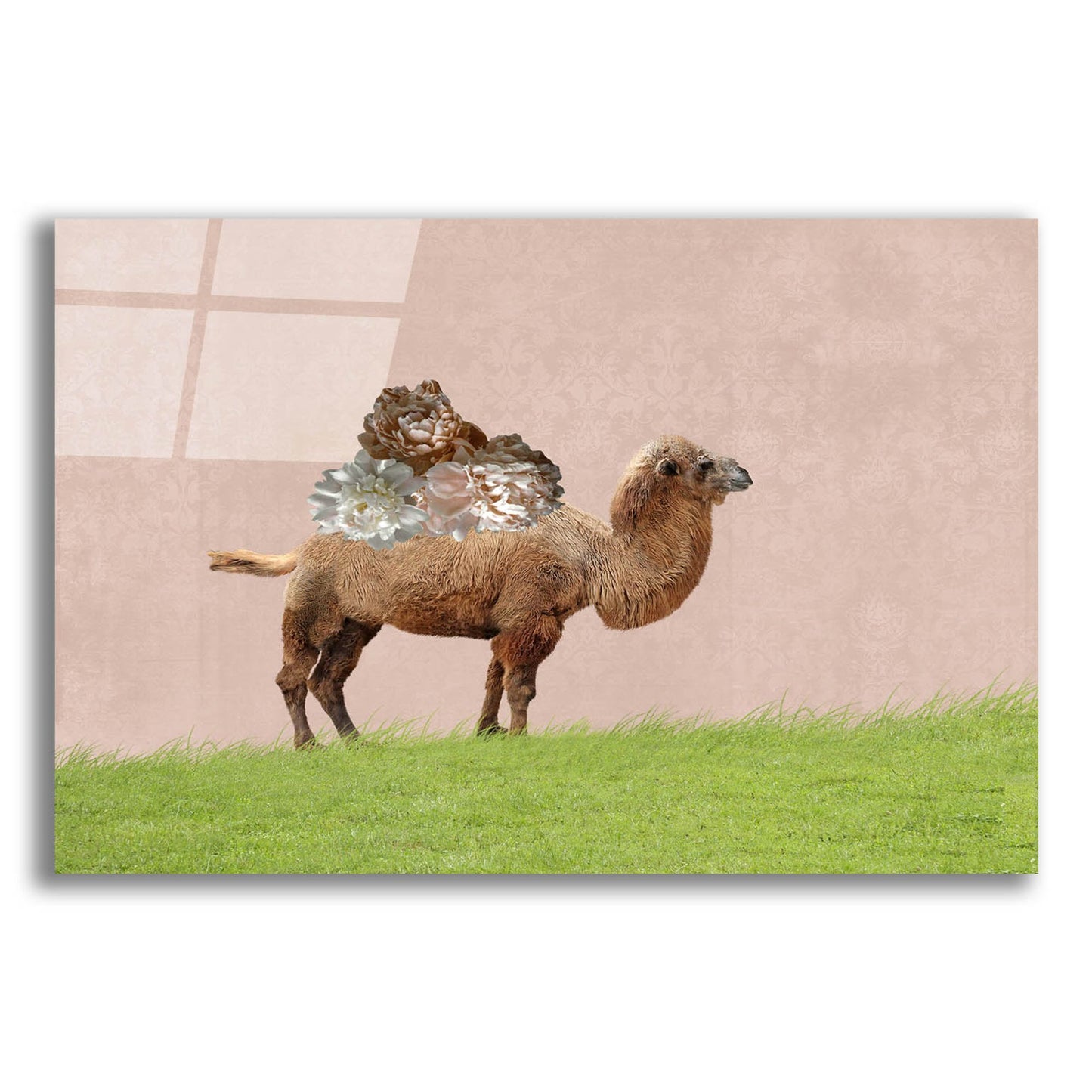 Epic Art ' Camel on Pink' by Brooke T. Ryan, Acrylic Glass Wall Art