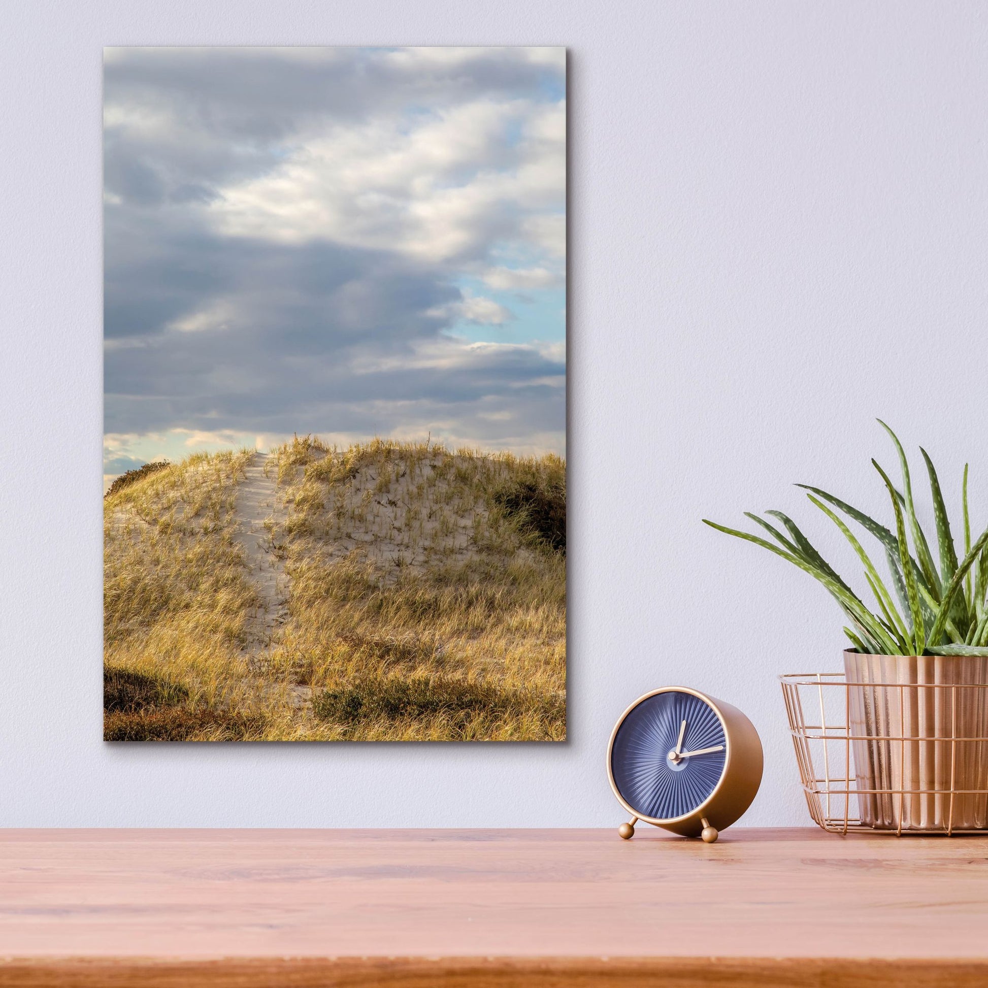 Epic Art ' Dunes Trail' by Brooke T. Ryan, Acrylic Glass Wall Art,12x16