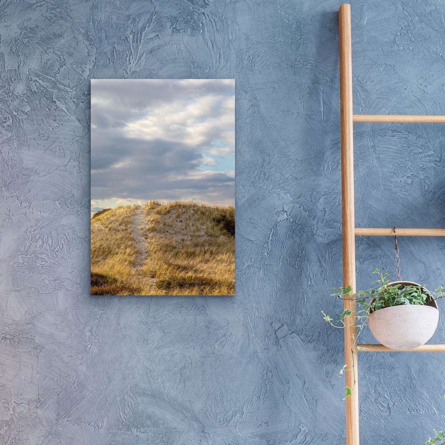 Epic Art ' Dunes Trail' by Brooke T. Ryan, Acrylic Glass Wall Art,16x24