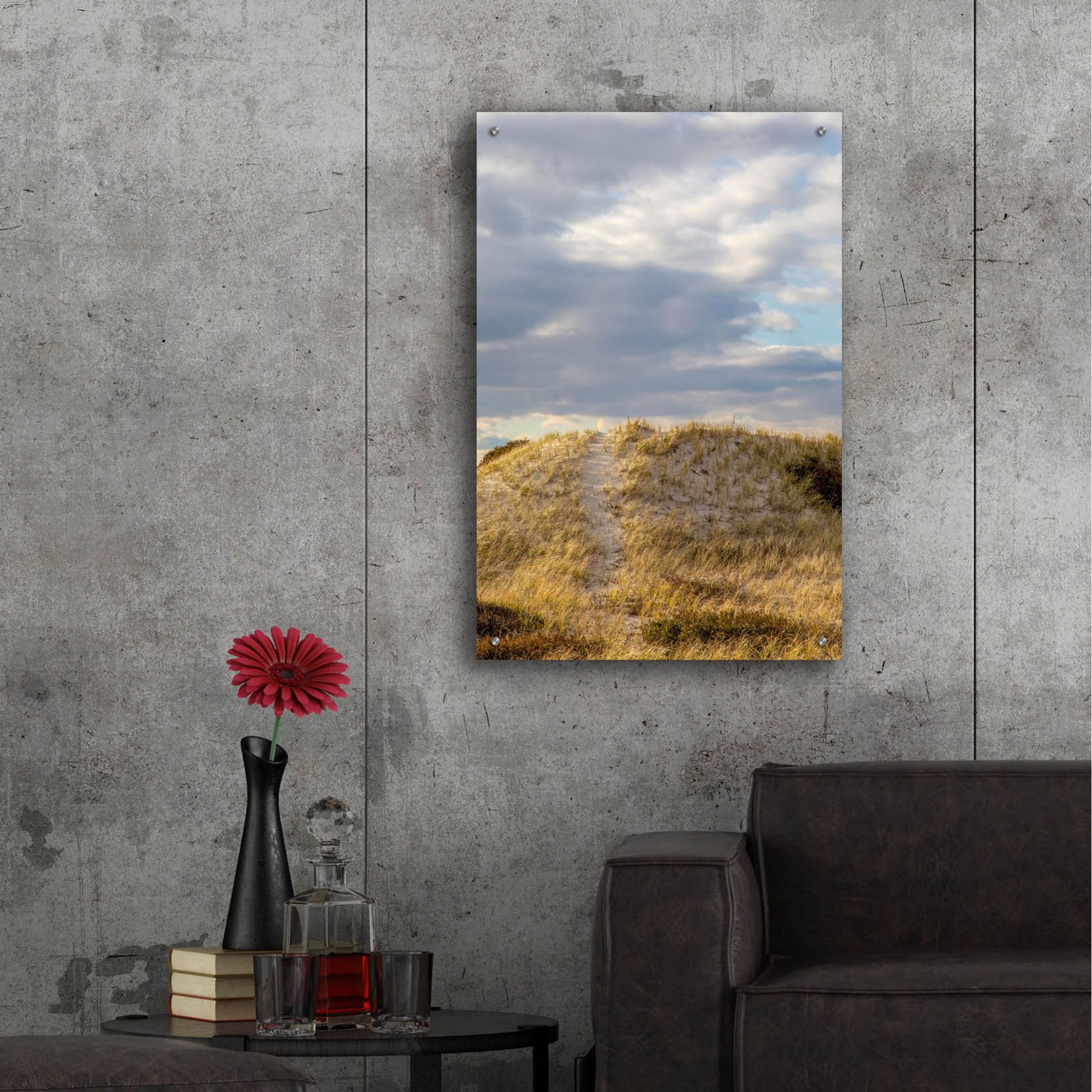 Epic Art ' Dunes Trail' by Brooke T. Ryan, Acrylic Glass Wall Art,24x36