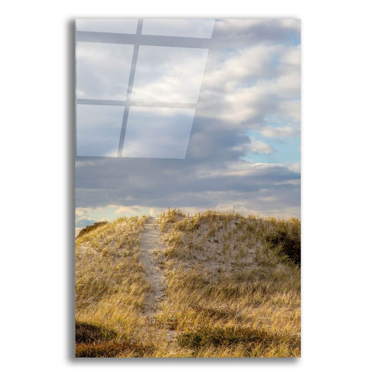 Epic Art ' Dunes Trail' by Brooke T. Ryan, Acrylic Glass Wall Art