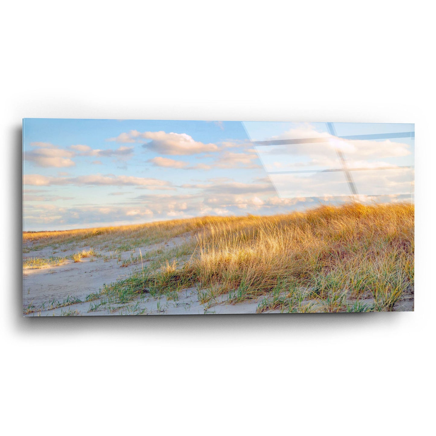 Epic Art ' Grassy Dunes Panorama' by Brooke T. Ryan, Acrylic Glass Wall Art,24x12