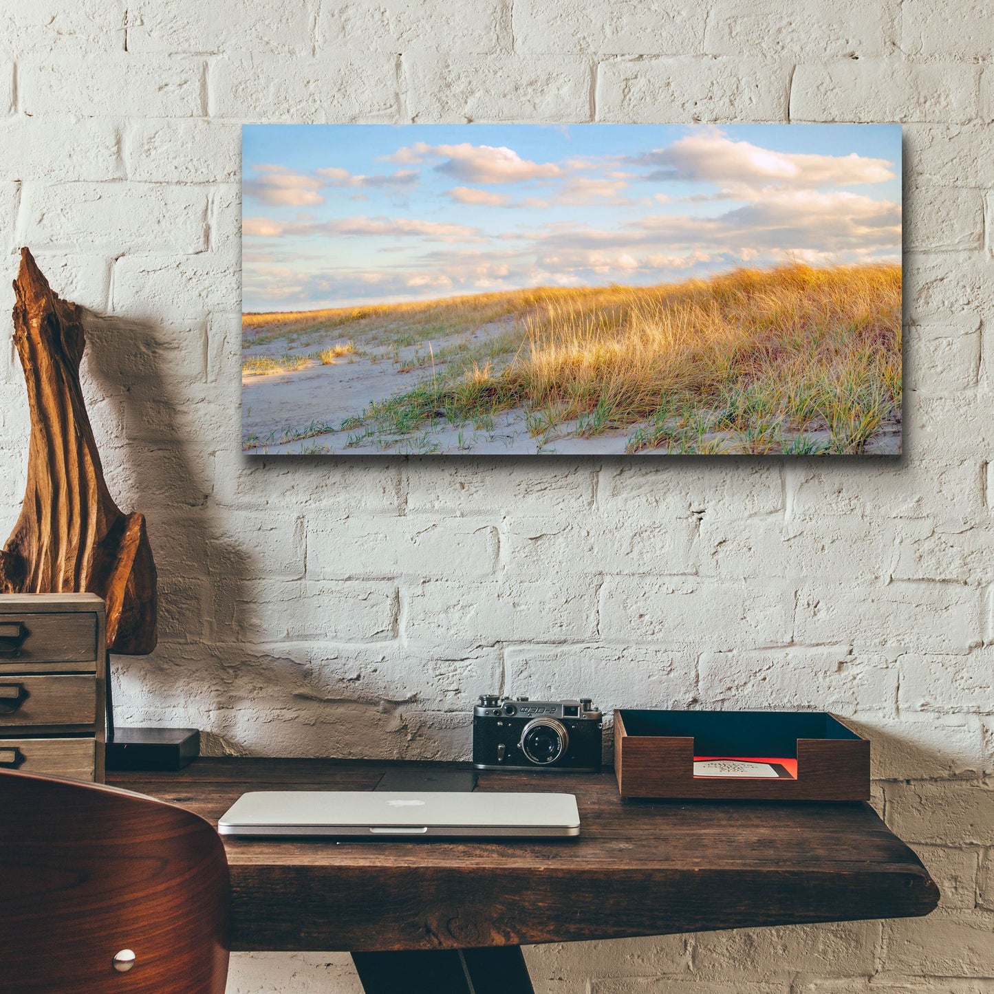 Epic Art ' Grassy Dunes Panorama' by Brooke T. Ryan, Acrylic Glass Wall Art,24x12