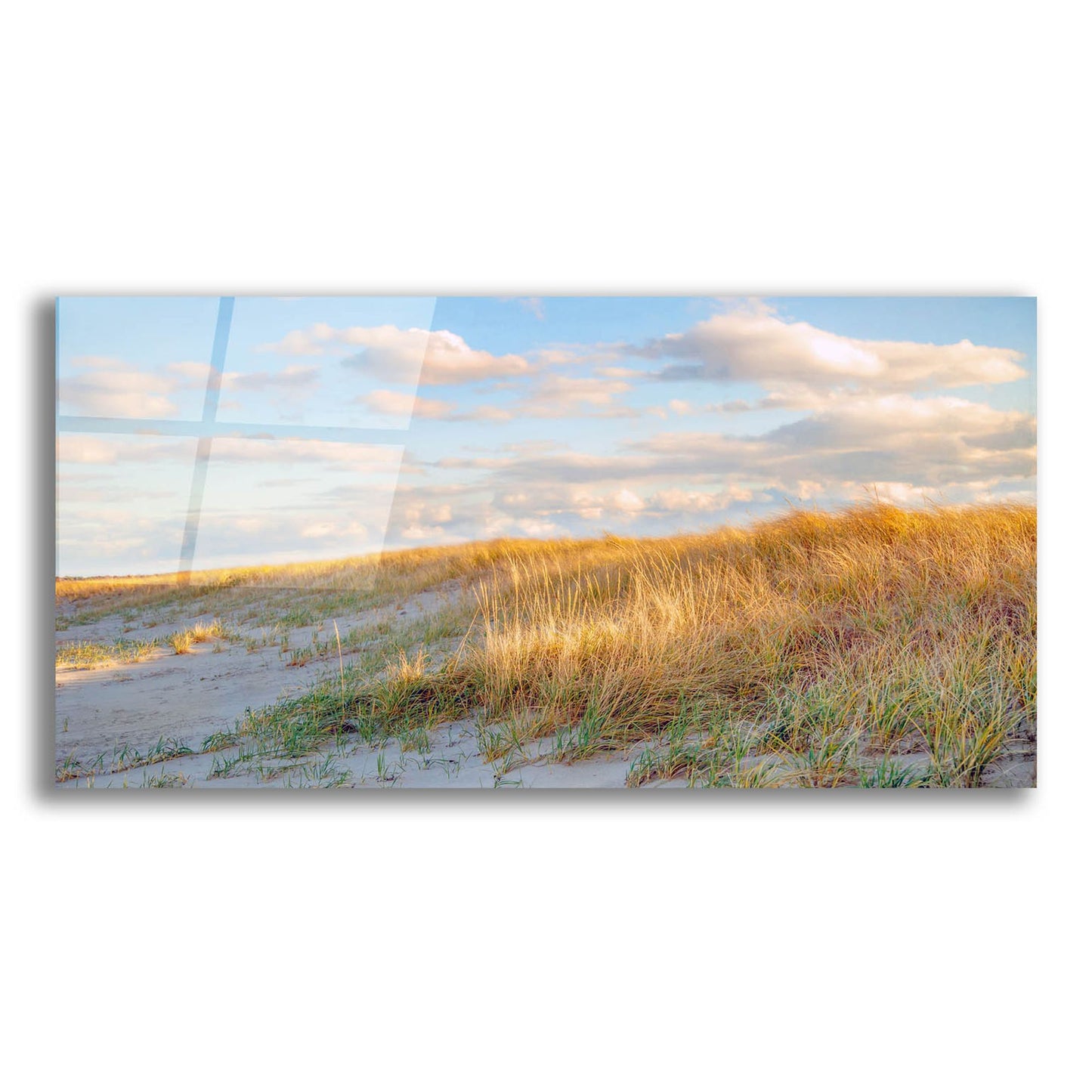 Epic Art ' Grassy Dunes Panorama' by Brooke T. Ryan, Acrylic Glass Wall Art,24x12